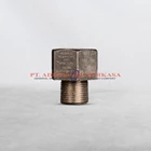 Adapter 3/4&quot x M25 AB Raxton Brass Nickle Plate 1